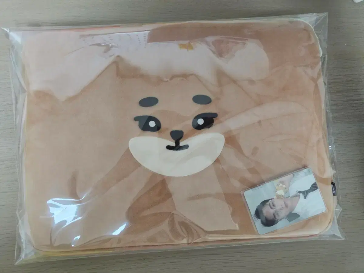 DAY6 | 데이식스 Day6 pop up exit gift day6.zip candle confetti on